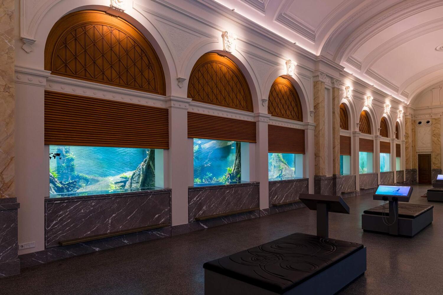 ARTIS legt met verduurzaming aquarium nog een puzzelstukje op de goede plek