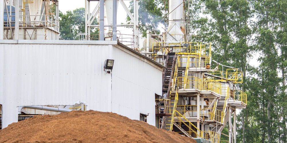 Lager aandeel hernieuwbare energie door onder andere minder meegetelde biomassa