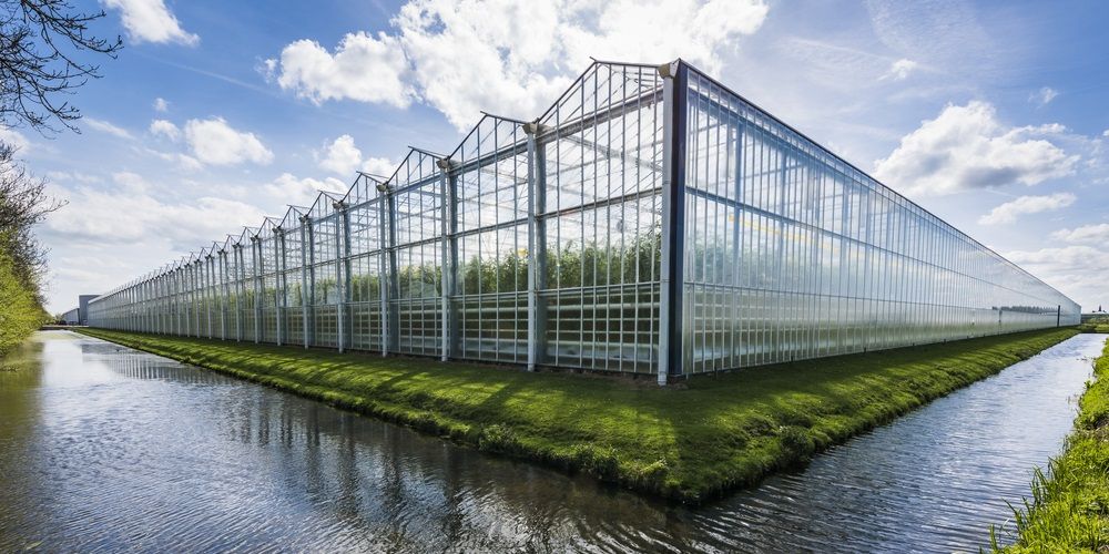 Kabinet wil dat de Nederlandse glastuinbouw in 2040 klimaatneutraal is