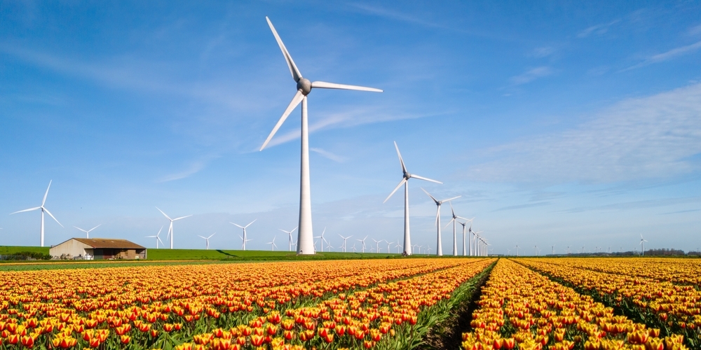 NVDE roept op om groene energie van eigen bodem mee te nemen in verkiezingsprogramma’s