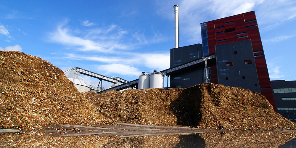 Nederlandse Emissieautoriteit: ‘Biomassa uit Estland is duurzaam’