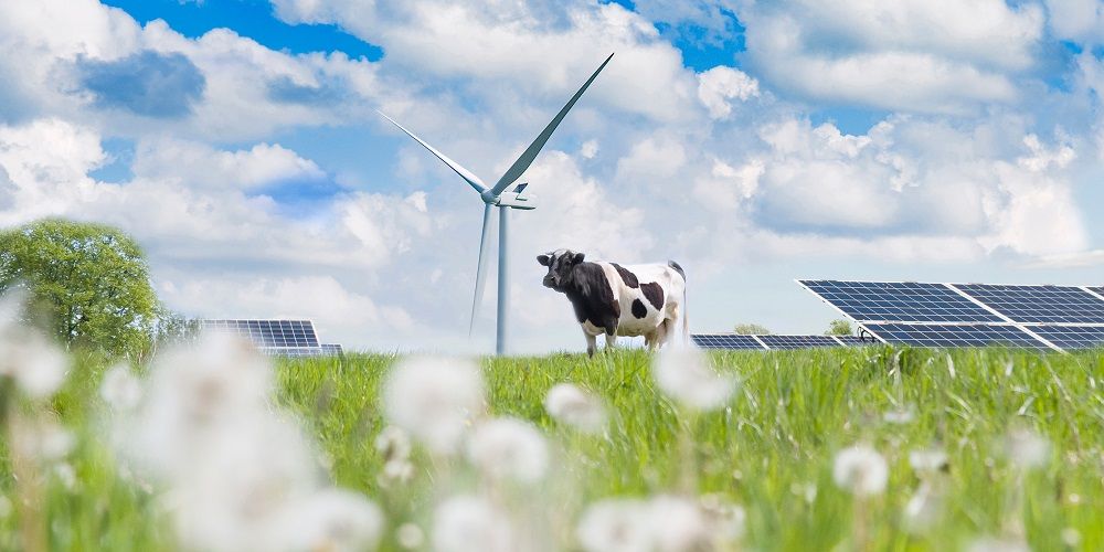 Alle groene energie die we dit jaar produceren is op