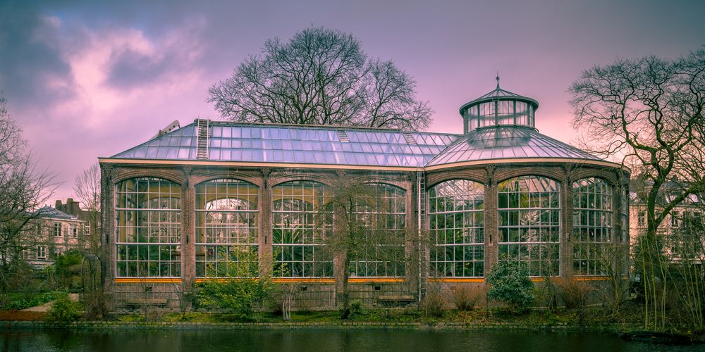 De warme band tussen de Hortus en de Hermitage