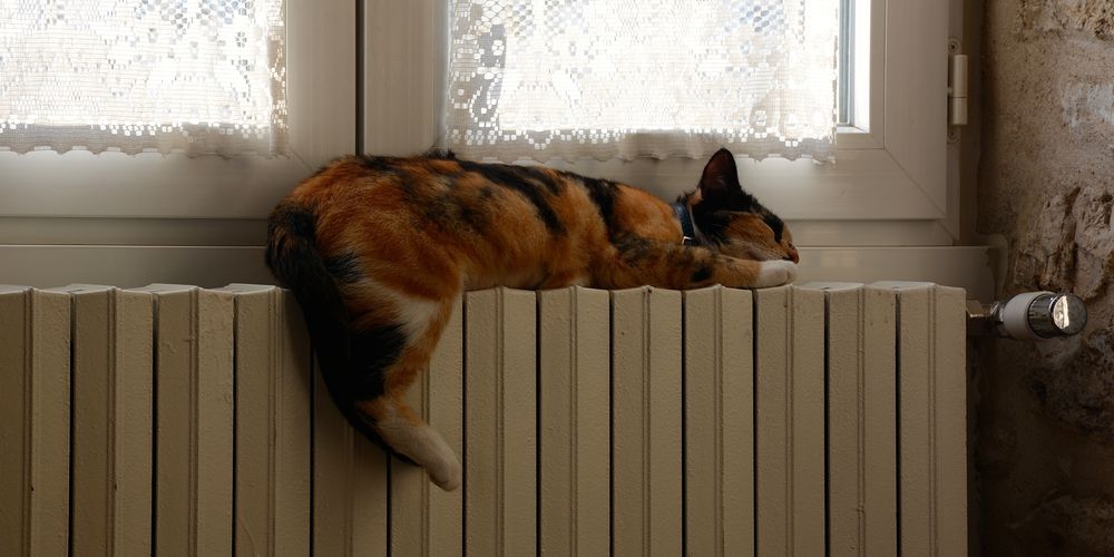 Een warm huis, een koel huis of allebei?