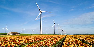 NVDE roept op om groene energie van eigen bodem mee te nemen in verkiezingsprogramma’s